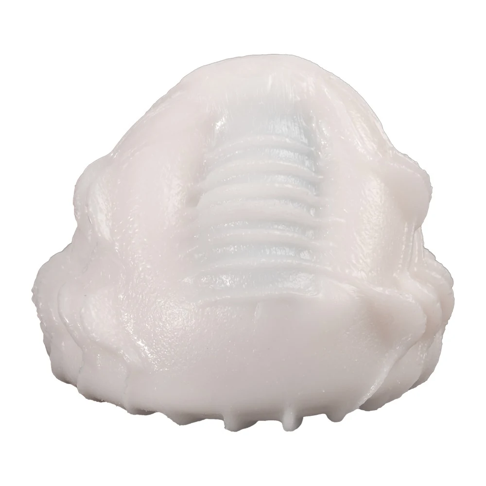 Vibeggs Ribs Delight