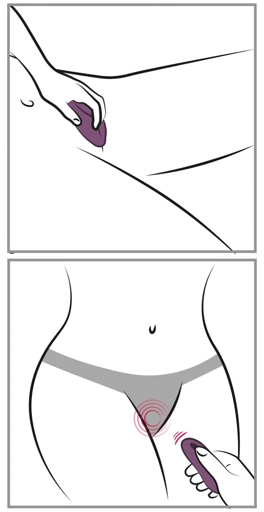 Sweet Smile RC Panty Vibrator