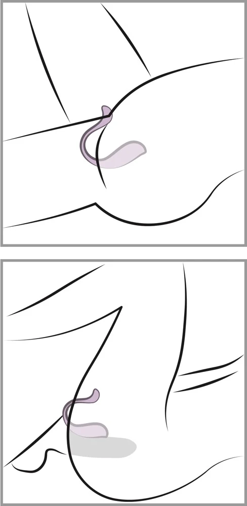 Phoenix Neo 2 Pastel Lilac