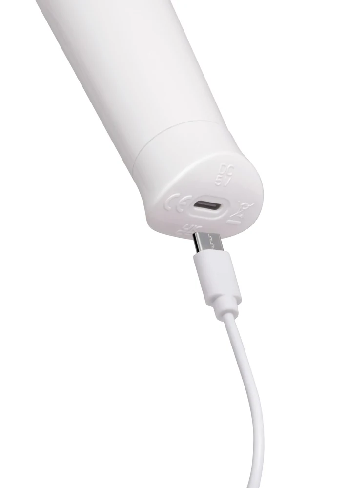 le Wand Classique Petite Wand